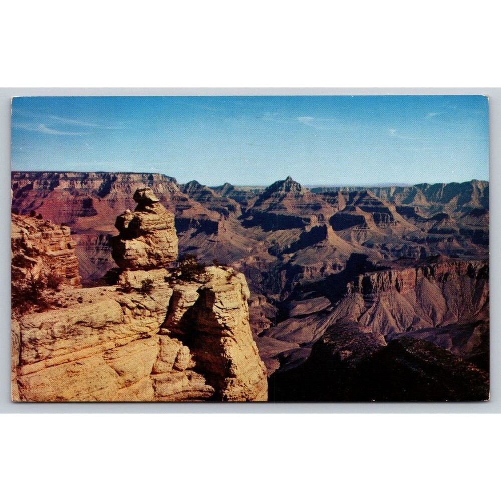 Vtg 1957 Grand Canyon Postcard Duck on a Rock Mike Roberts Kodachrome Postmarked